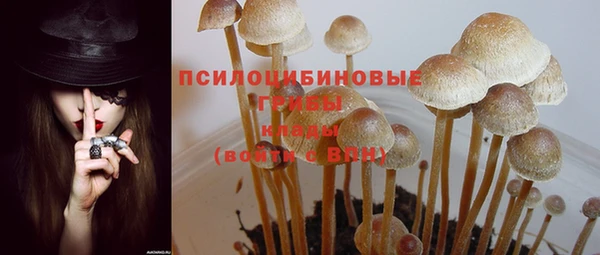 дмт Алексин