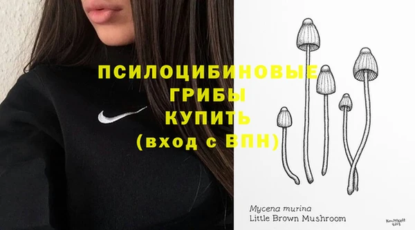 сатива Абаза