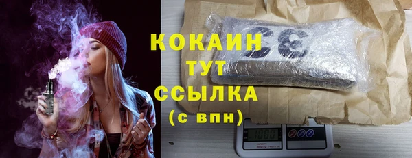 сатива Абаза