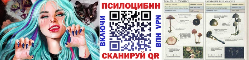 Псилоцибиновые грибы GOLDEN TEACHER  Змеиногорск 